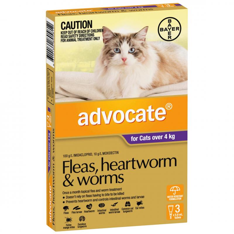 Advocate – Fleas, Heartworm & Worms – Cats over 4kg (6 Pack)