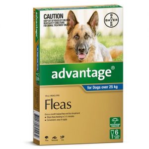 Advantage Flea Treatment for Dogs Over 25kg (6 x 4.0ml Tubes)