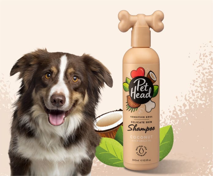 Pet Head Sensitive Soul Shampoo – 300ml