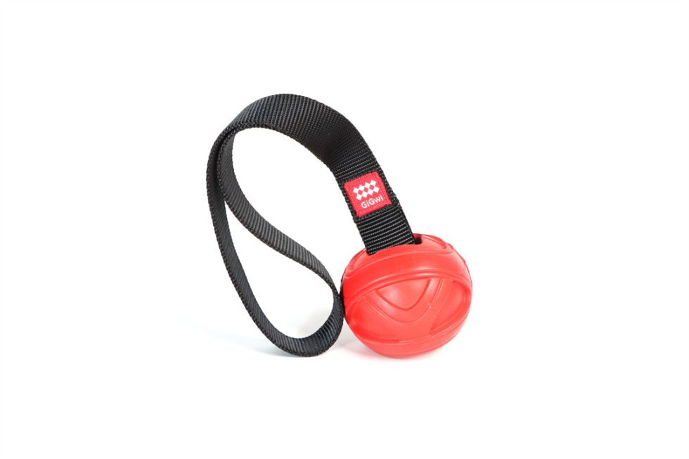 GiGwi Go-Fetch Slinger Ball