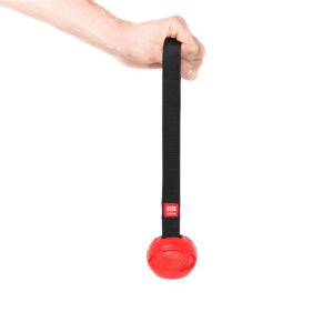 GiGwi Go-Fetch Slinger Ball