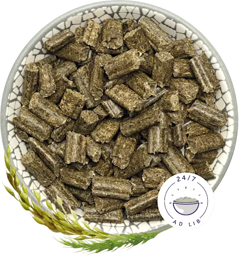 Bunny Nature RabbitDream Basic 1.5kg