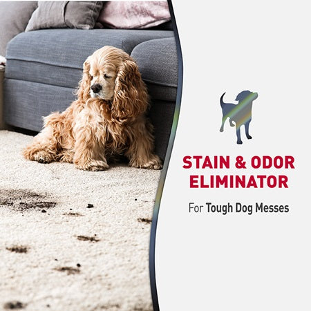 Nature's Miracle – Advanced Stain & Odour Eliminator (Dog)