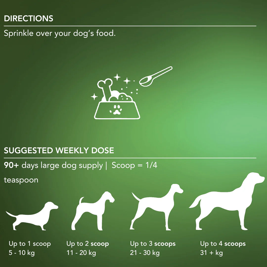 Tandem Super Foods New Zealand Organic Kelp Powder for Dogs 100g
