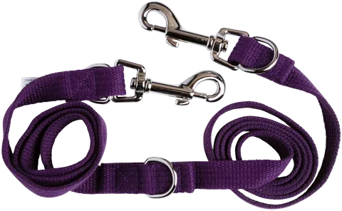 Beau Pets Adjustable Webbing Lead – Purple – 25mm x 180cm