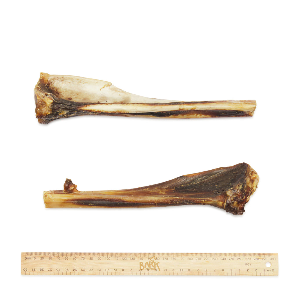 Bark & Beyond - Kangaroo Teeth Cleanser Bone
