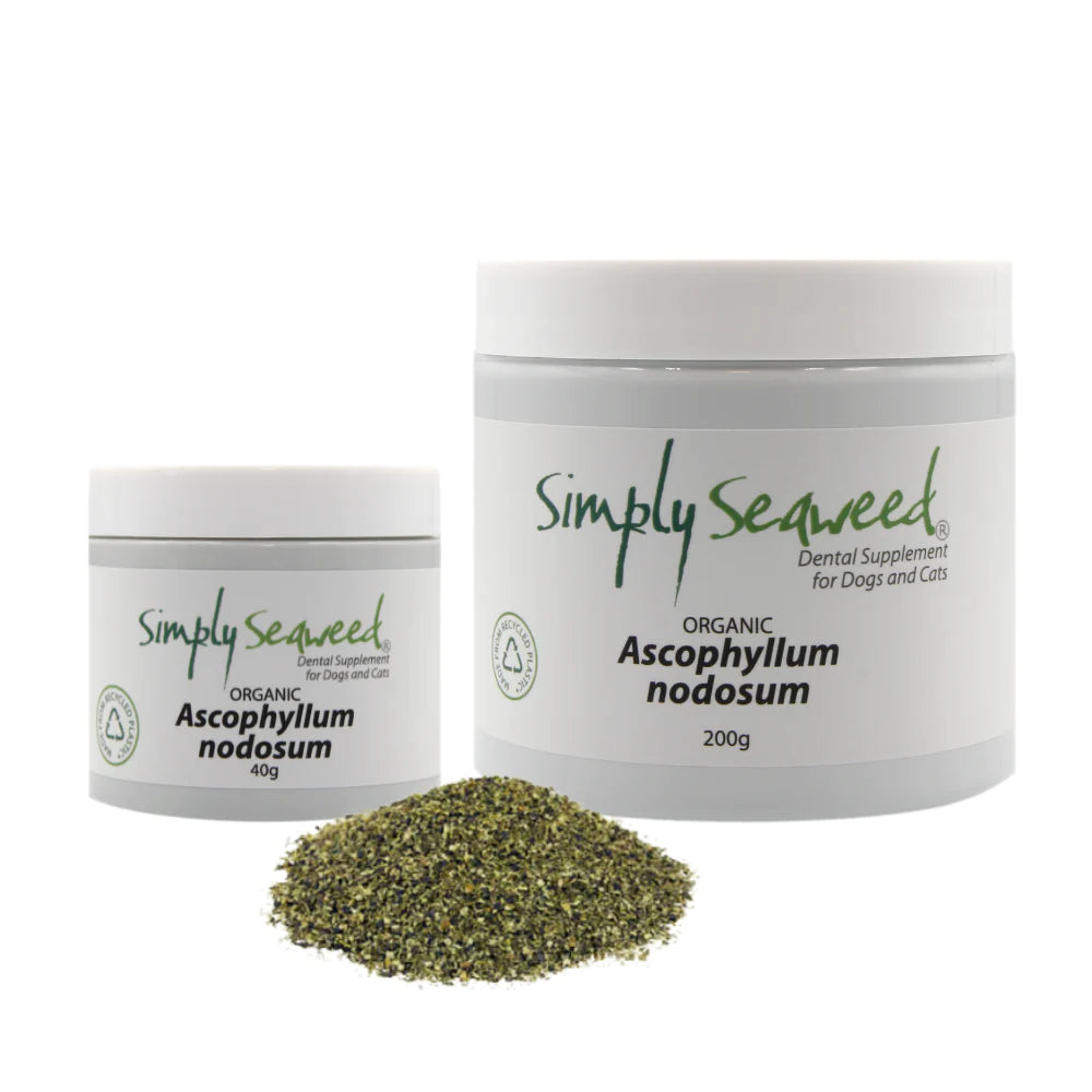 Simply Seaweed Dental Supplement – 40g