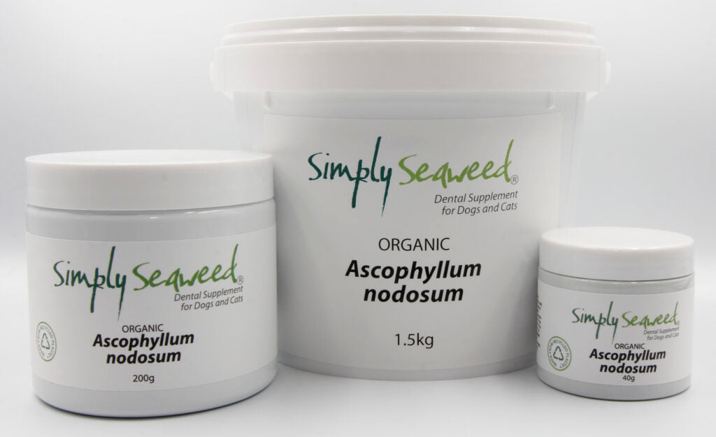 Simply Seaweed Dental Supplement – 200g