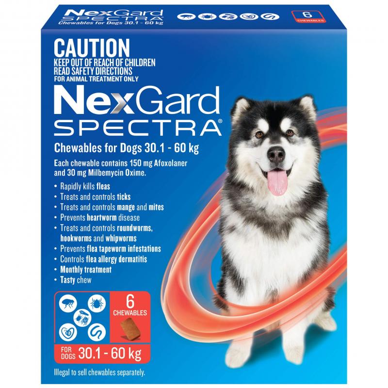 NexGard Spectra Chewables for Dogs – 6 Pack