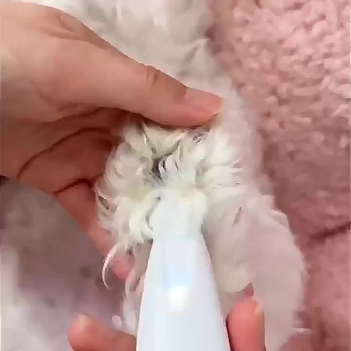 LED Pet Paw Hair Trimmer