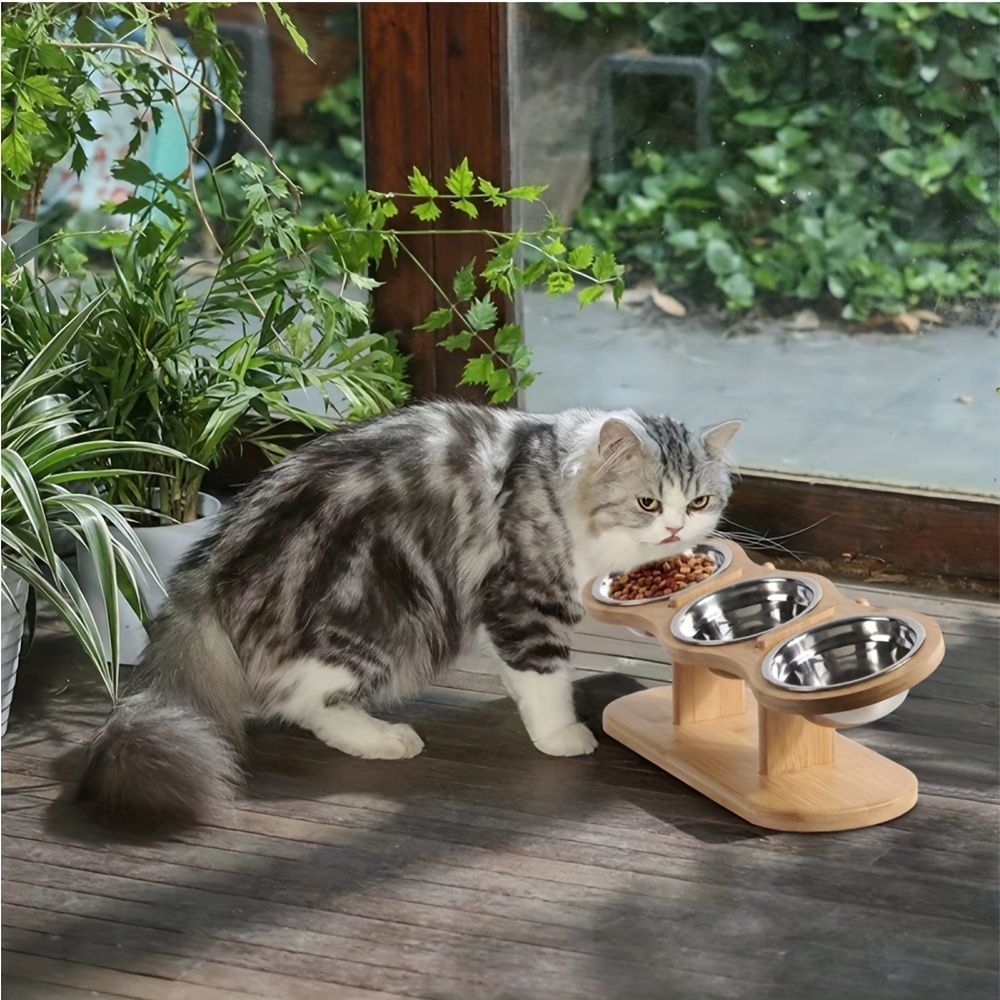 Elevated Cat Feeding Station with 3 Stainless Steel Bowls