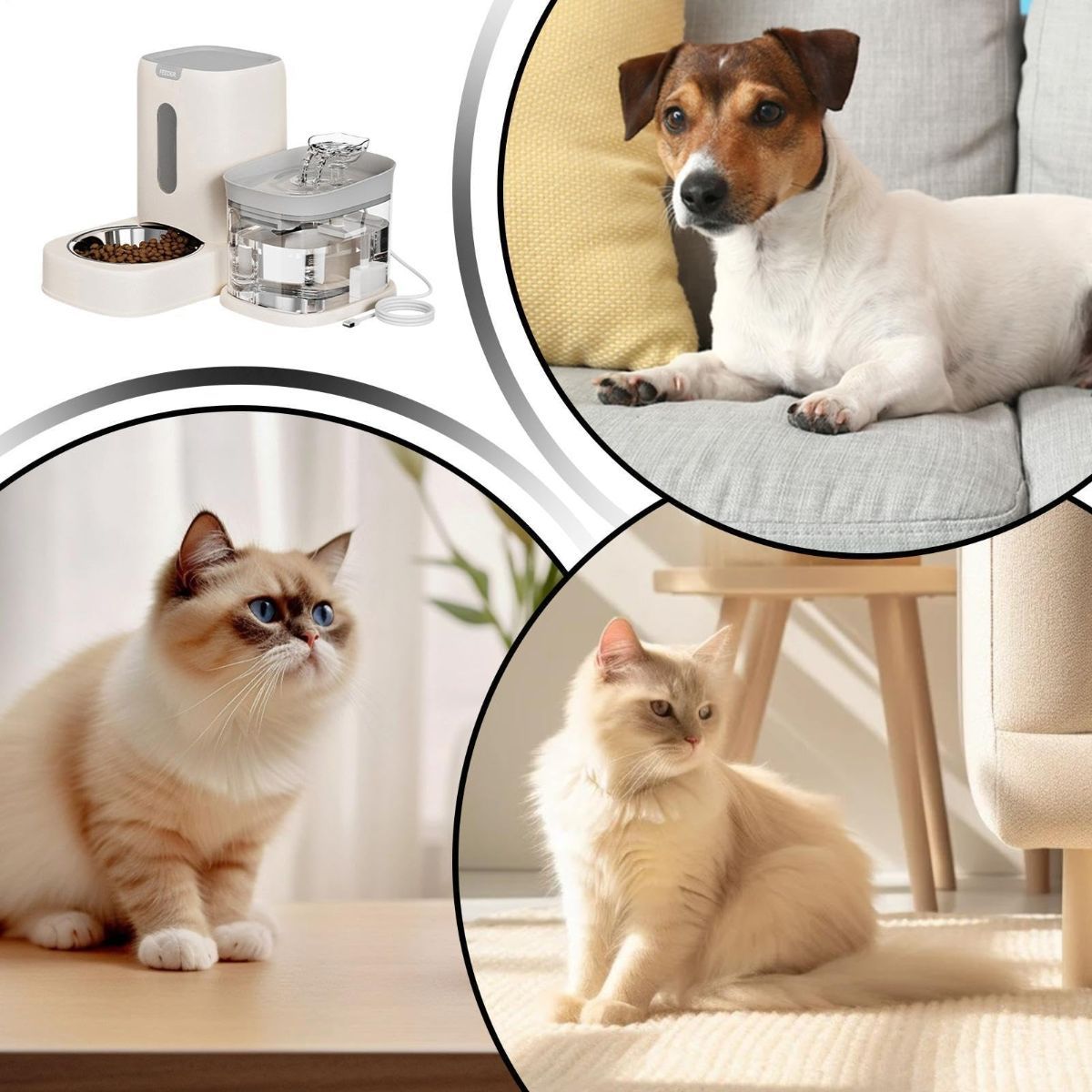 2-in-1 Automatic Cat Feeder and Water Dispenser