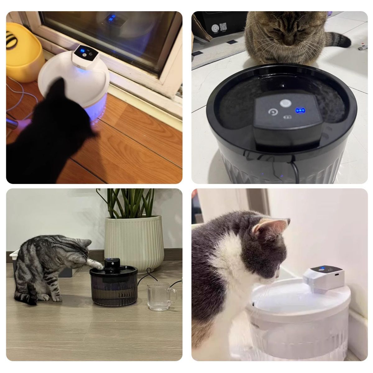 12 crescent-shaped filter cartridges, providing approximately one year's supply