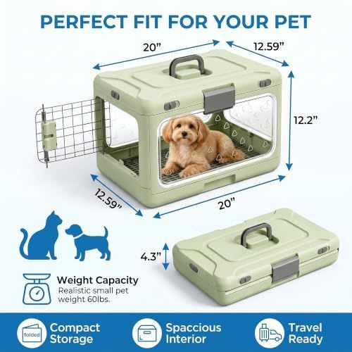 Foldable Hard-Shell Cat Carrier – White
