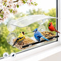 Transparent Window Bird Feeder with Suction Cups