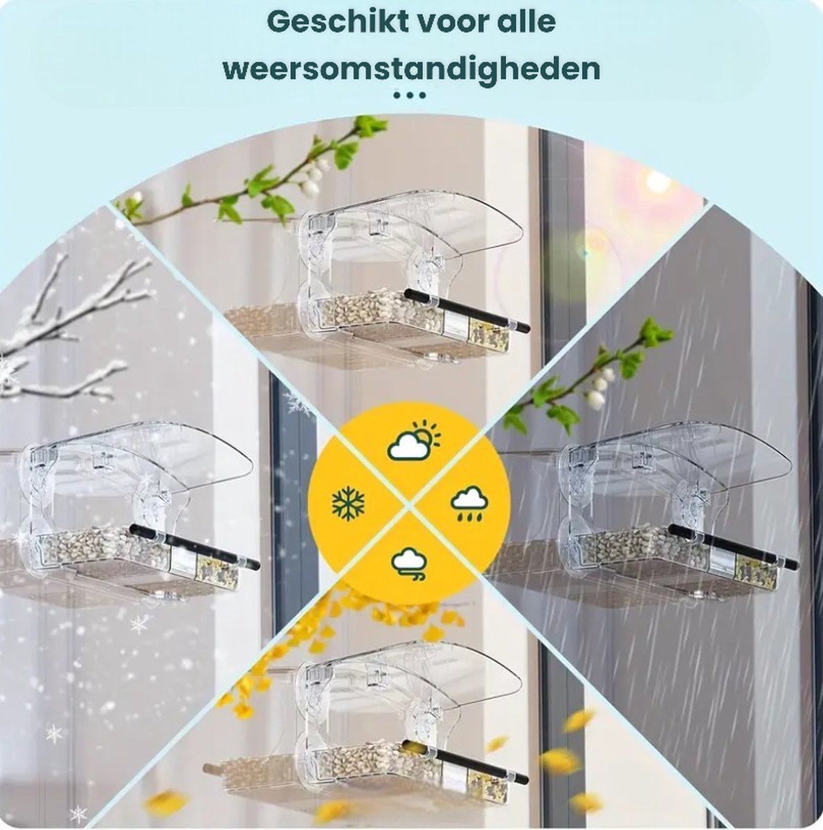 Transparent Window Bird Feeder with Suction Cups