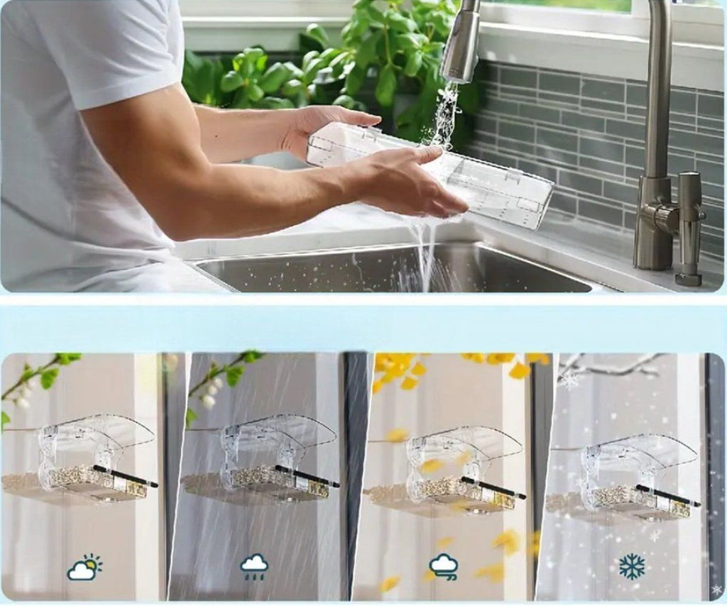 Transparent Window Bird Feeder with Suction Cups