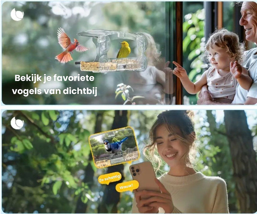 Transparent Window Bird Feeder with Suction Cups