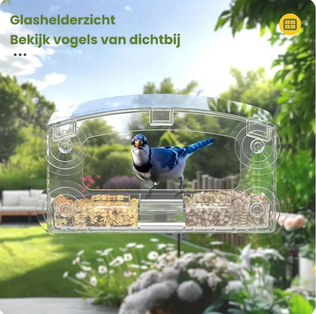 Transparent Window Bird Feeder with Suction Cups