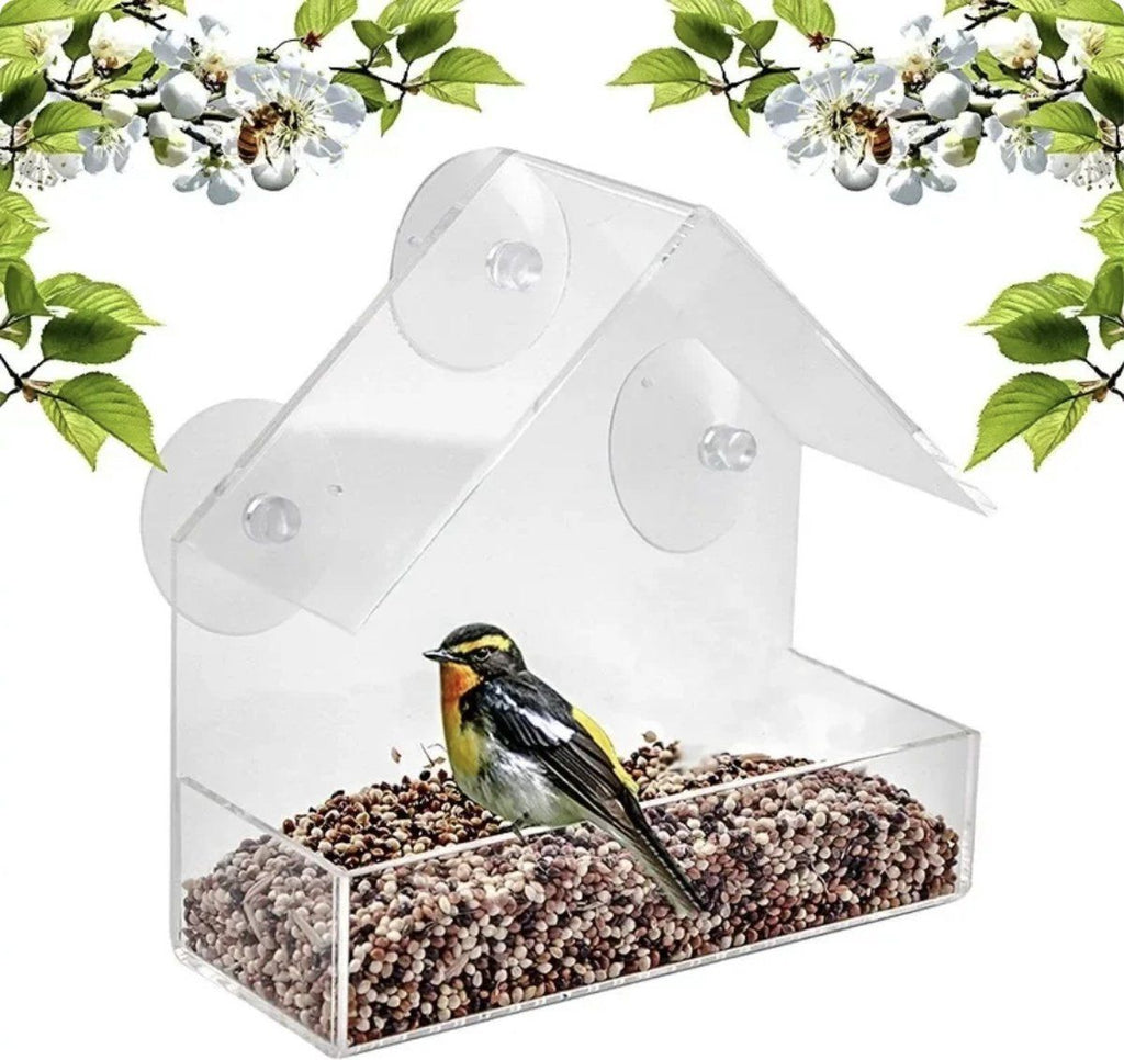 House-Shaped Window Bird Feeder with Suction Cups