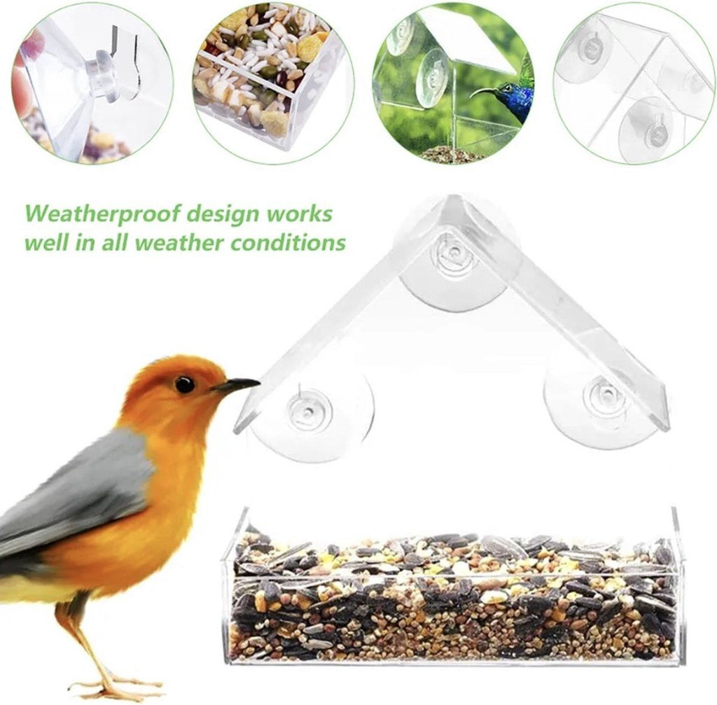 House-Shaped Window Bird Feeder with Suction Cups