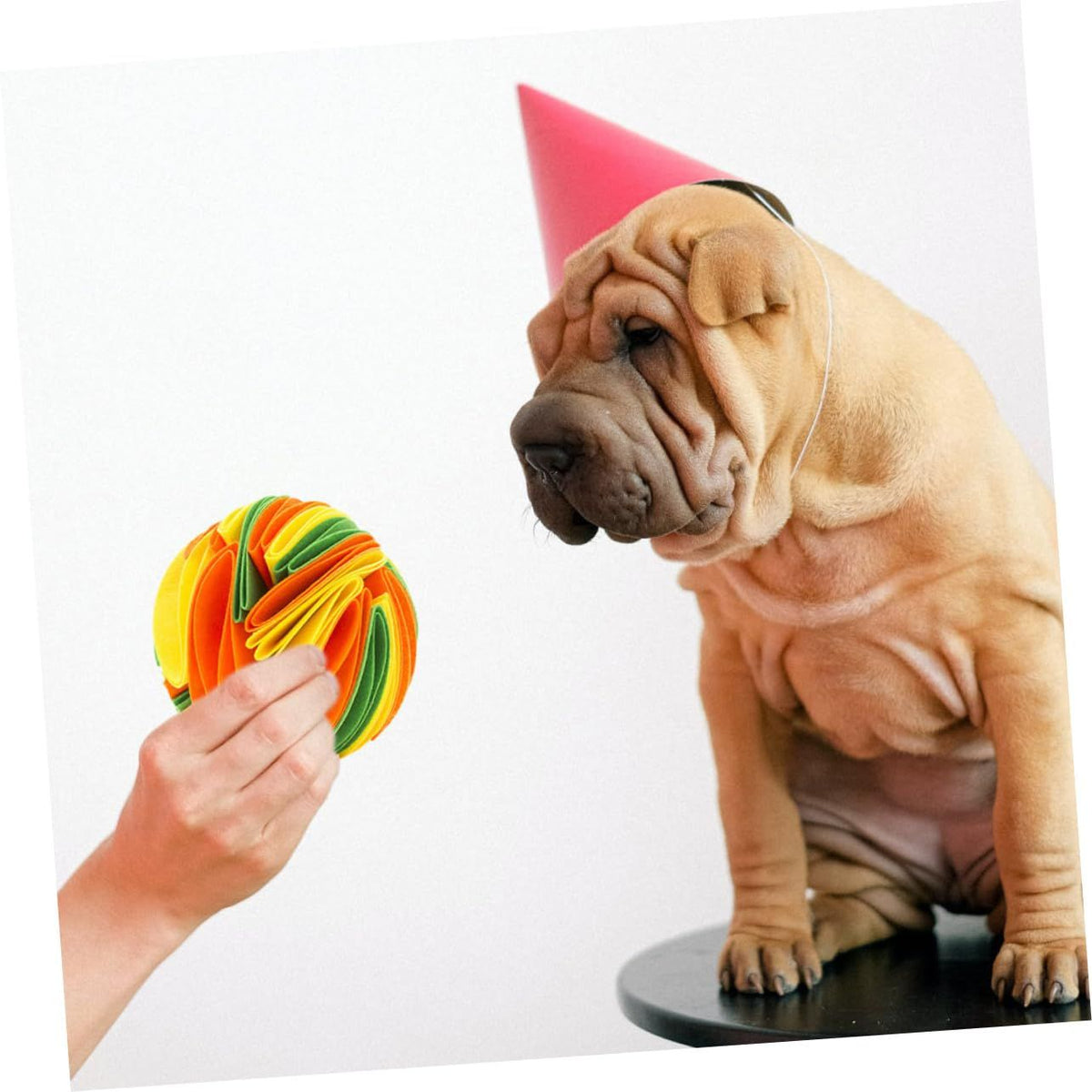 Interactive Snuffle Ball for Dogs