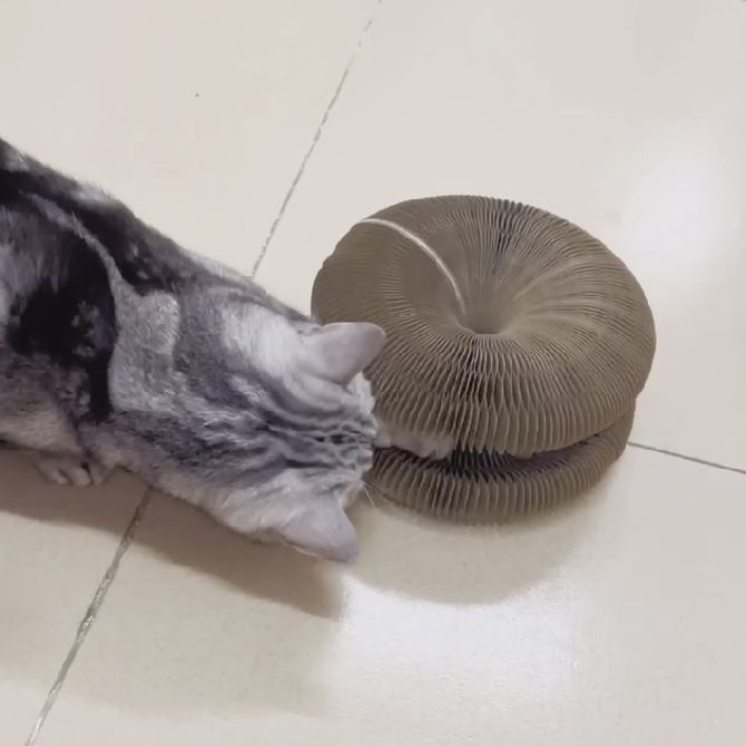 Interactive Cat Scratching Board with Bell Ball