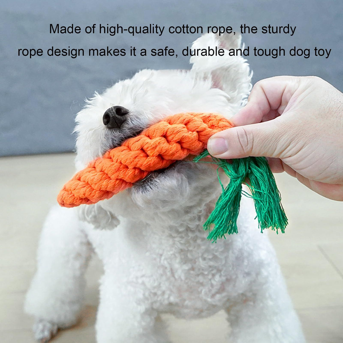 Carrot-Shaped Rope Dental Chew Toy for Dogs