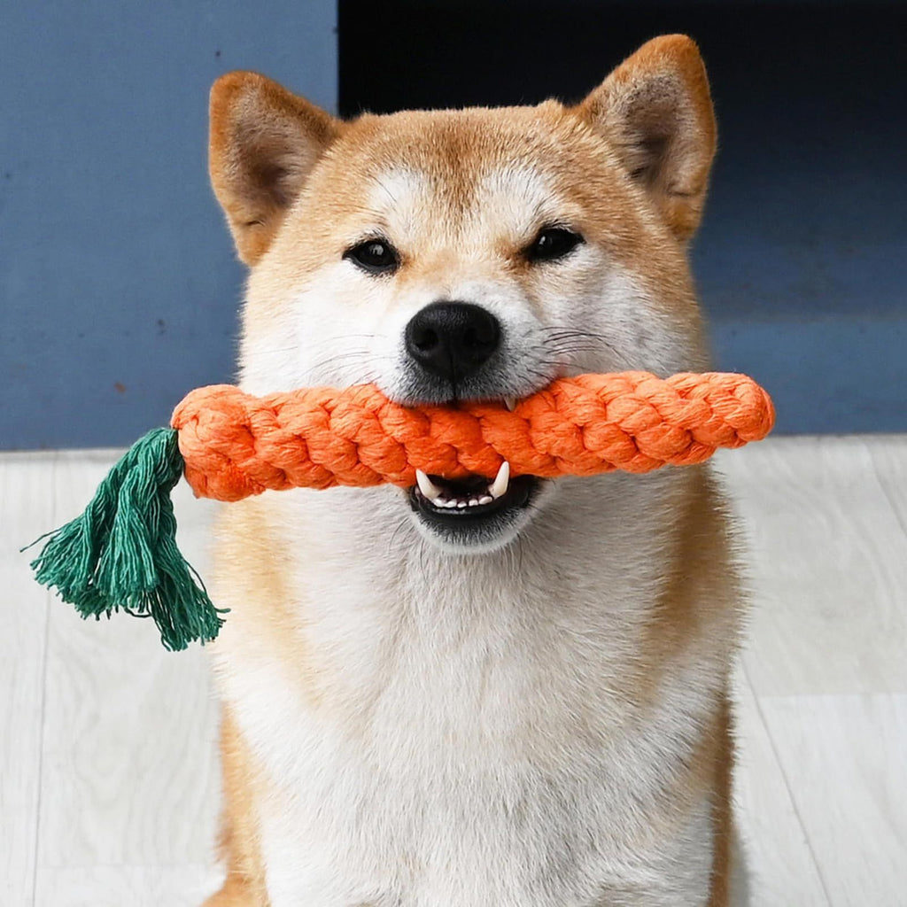 Carrot-Shaped Rope Dental Chew Toy for Dogs