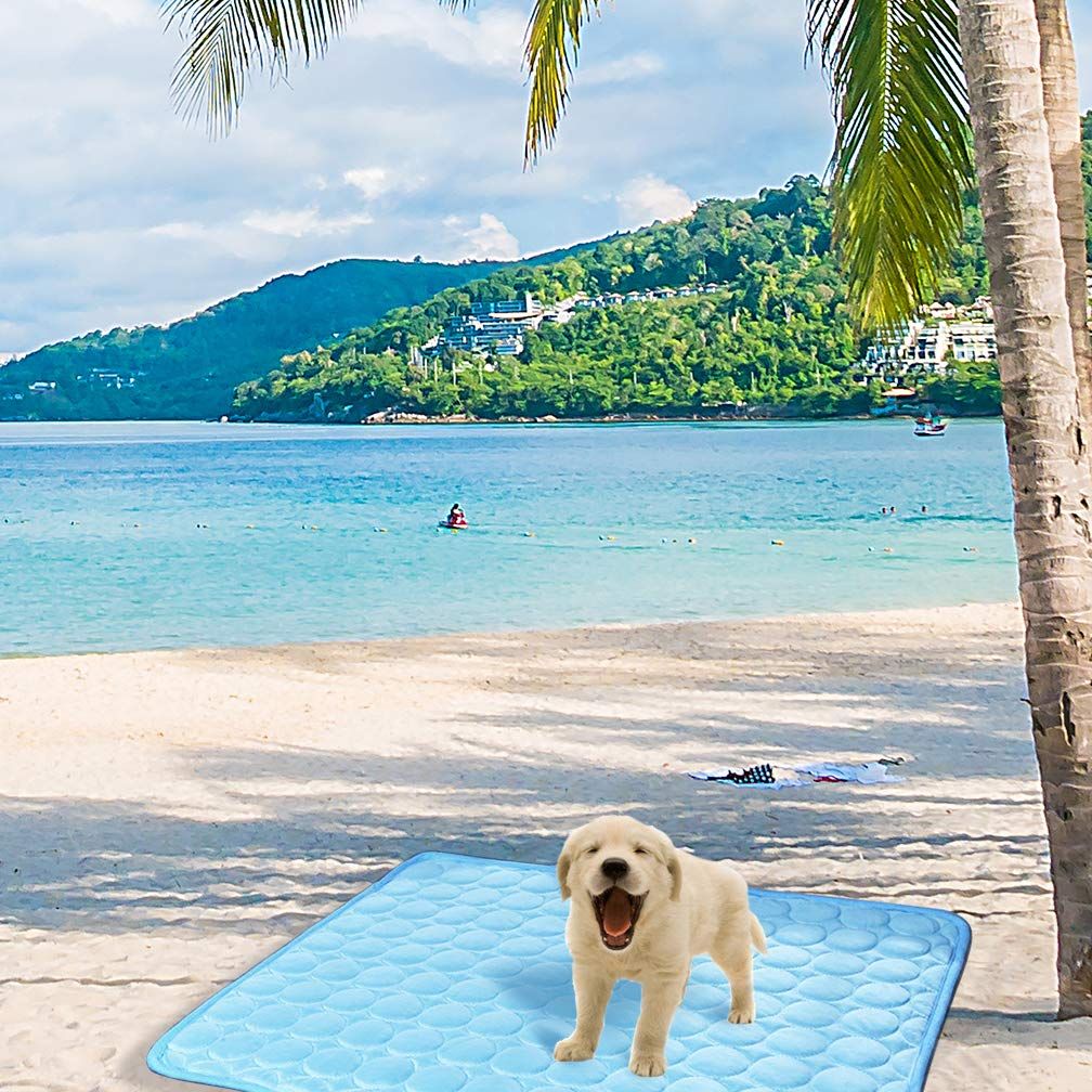 XL Cooling Mat for Dogs and Cats – Blue