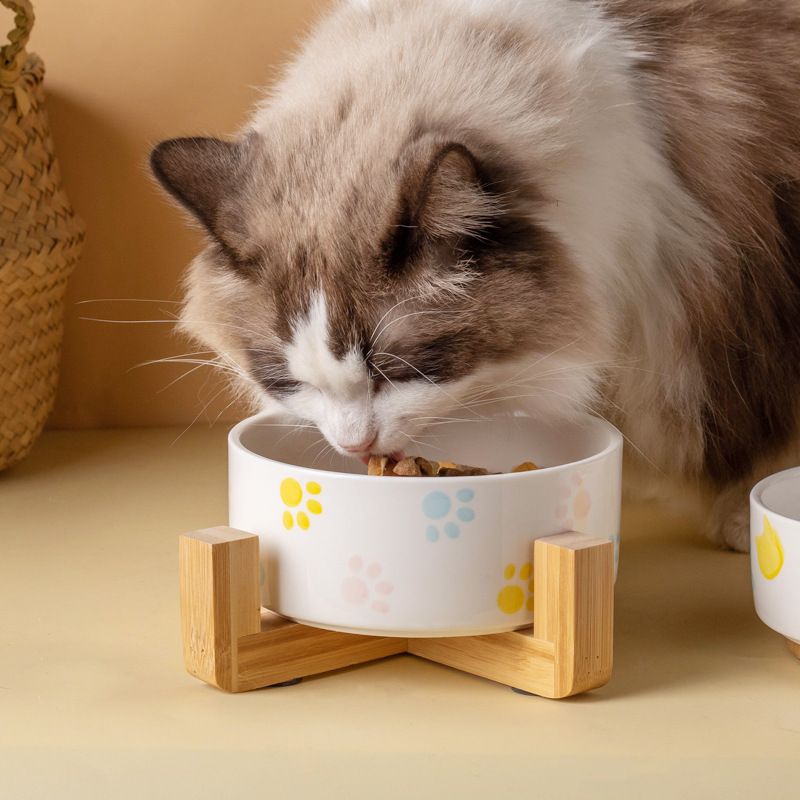 Ceramic Pet Bowls with Wooden Stand – 2 Pack