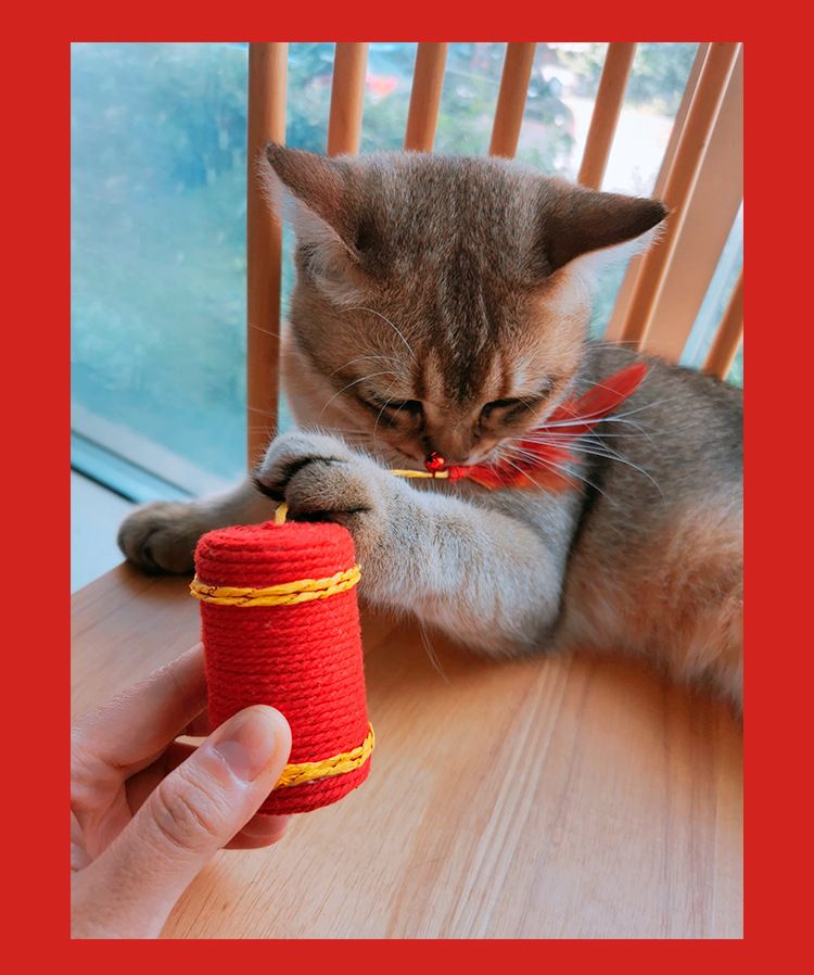Compact Kitten Training and Scratching Toys – 2 Pack