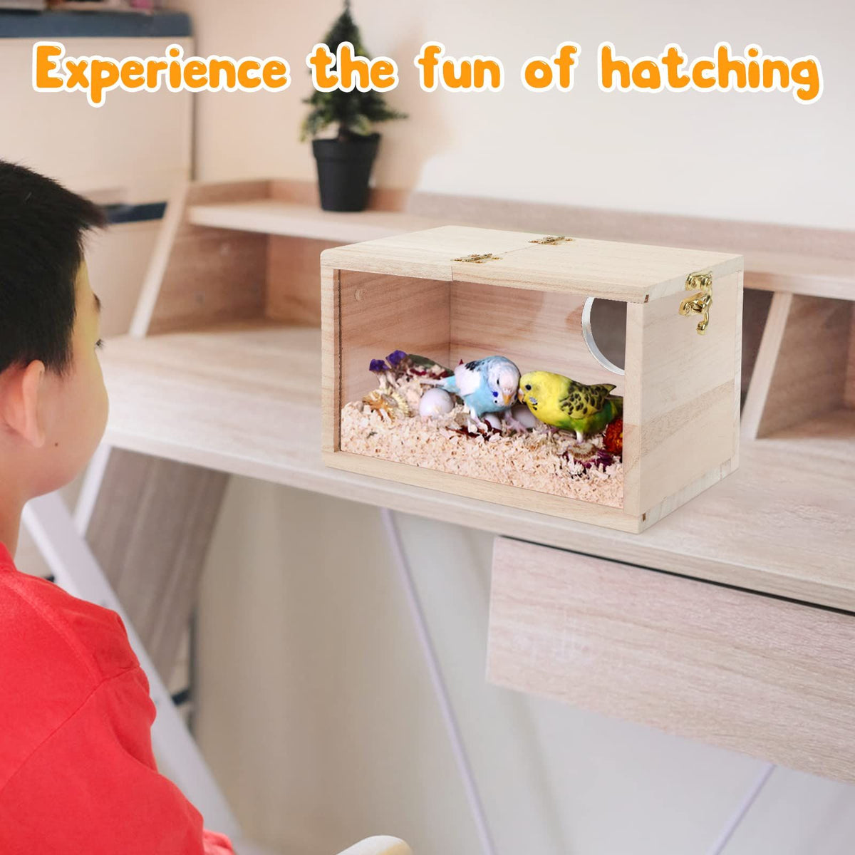 Transparent Wooden Bird Nesting Box