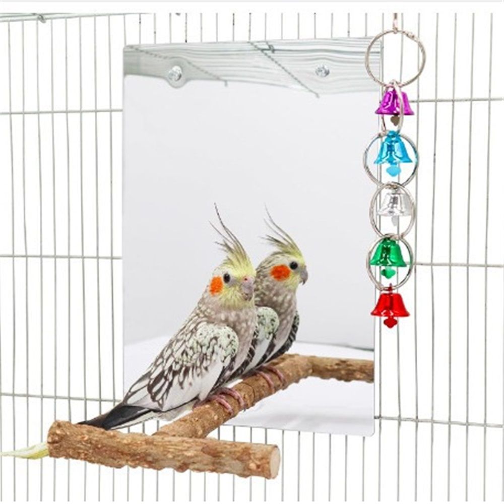 Bird Mirror Toy with Perch and Bells