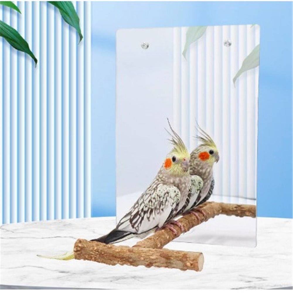 Bird Mirror Toy with Perch and Bells