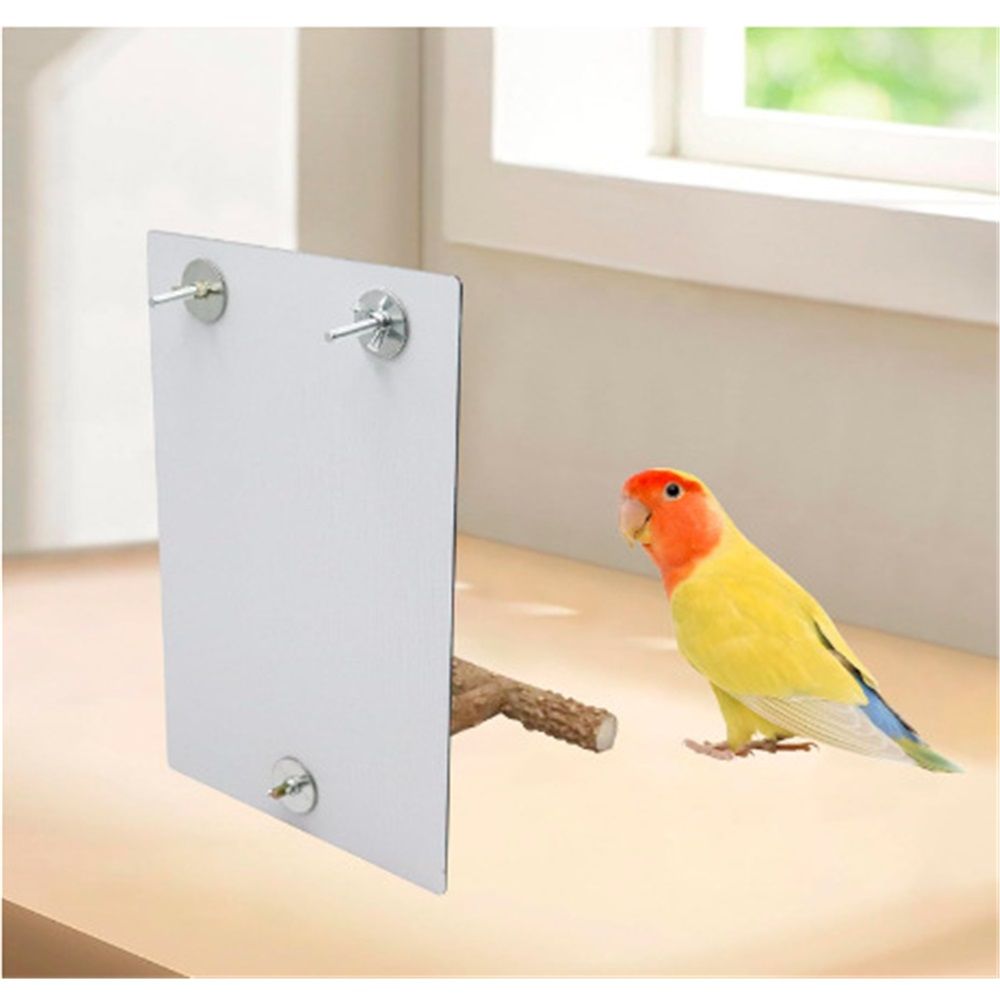 Bird Mirror Toy with Perch and Bells
