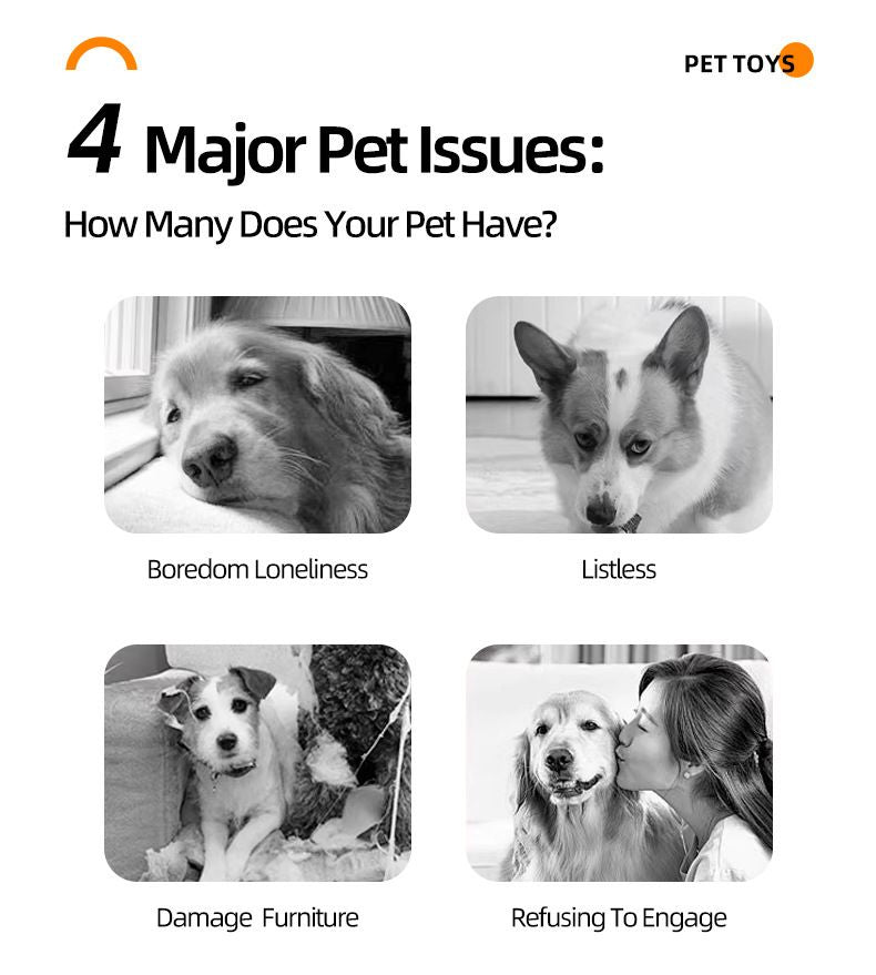 360° Rotating Puzzle Slow Feeder for Pets