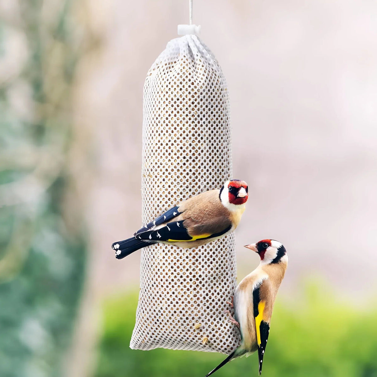 White Finch Sock Feeders – 6 Pack
