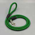 Pet Nylon Leash 120cm for Small Dogs Green 1.0cm thick, 120cm long
