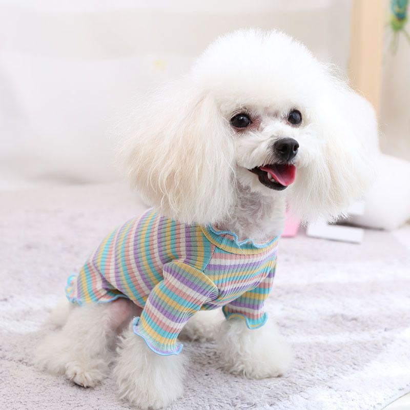 Cotton Knitted Pet Pullover Two Legs Clothes for Dogs Rainbow Strip