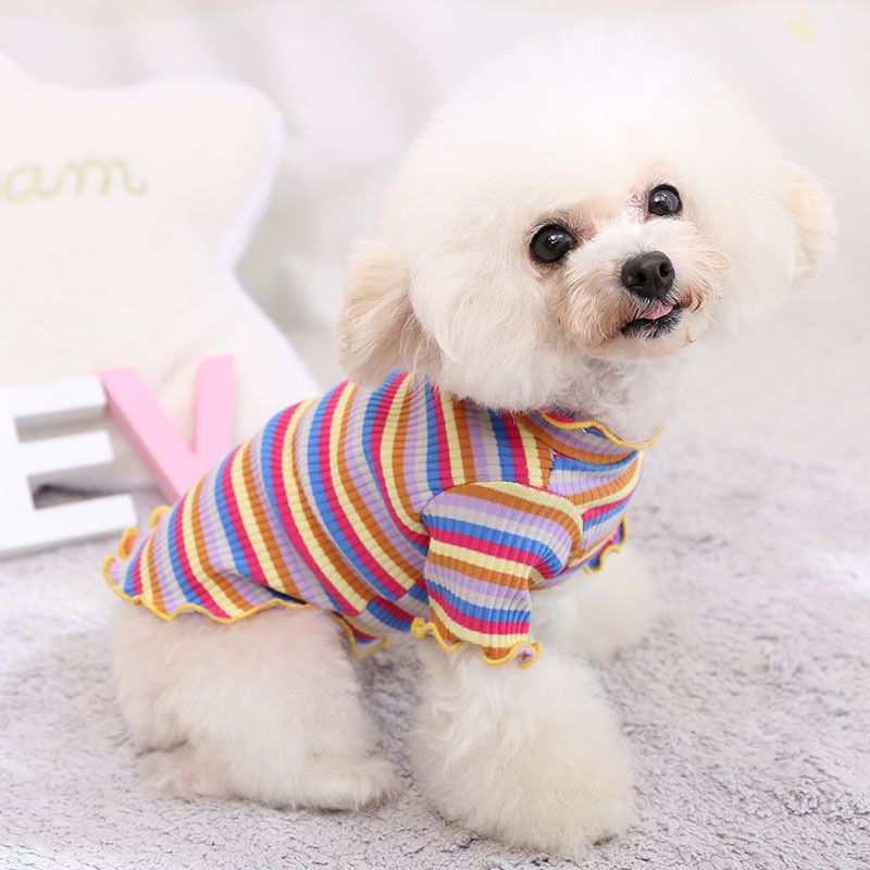 Cotton Knitted Pet Pullover Two Legs Clothes for Dogs Blue and purple strip S