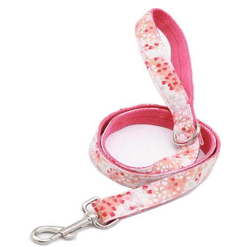 1.2m Nylon Dog Leash – Blue, 2cm Wide