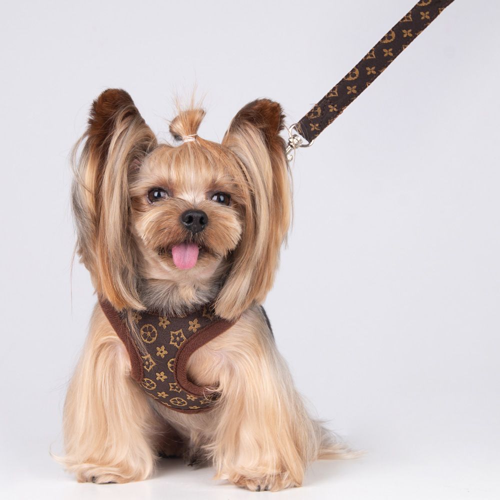Adjustable Dog Harness and Leash Set – Khaki, XS