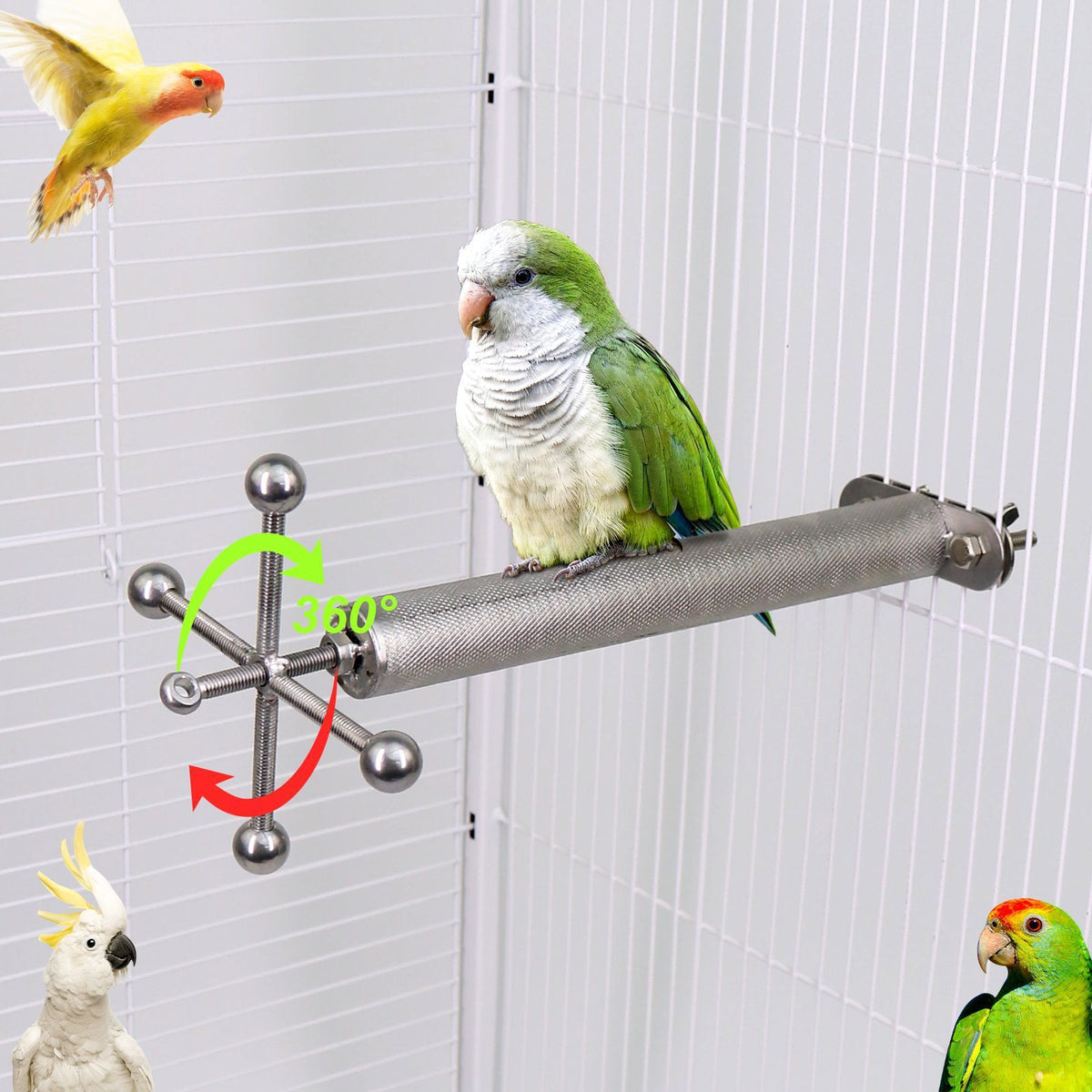 Stainless Steel Rotating Bird Perch