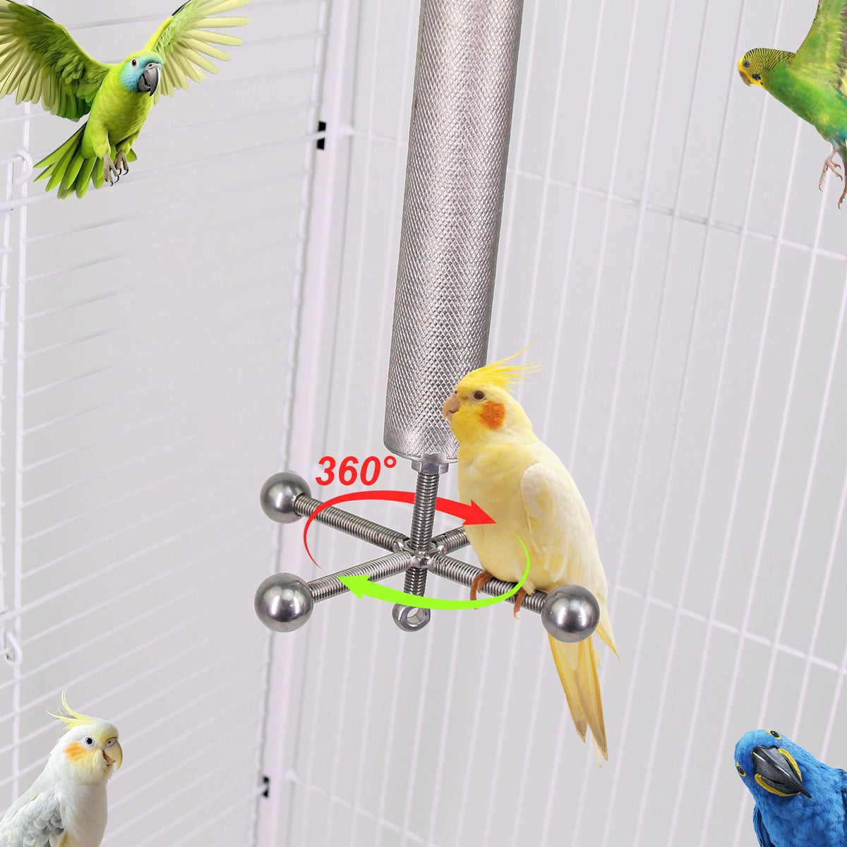 Stainless Steel Rotating Bird Perch