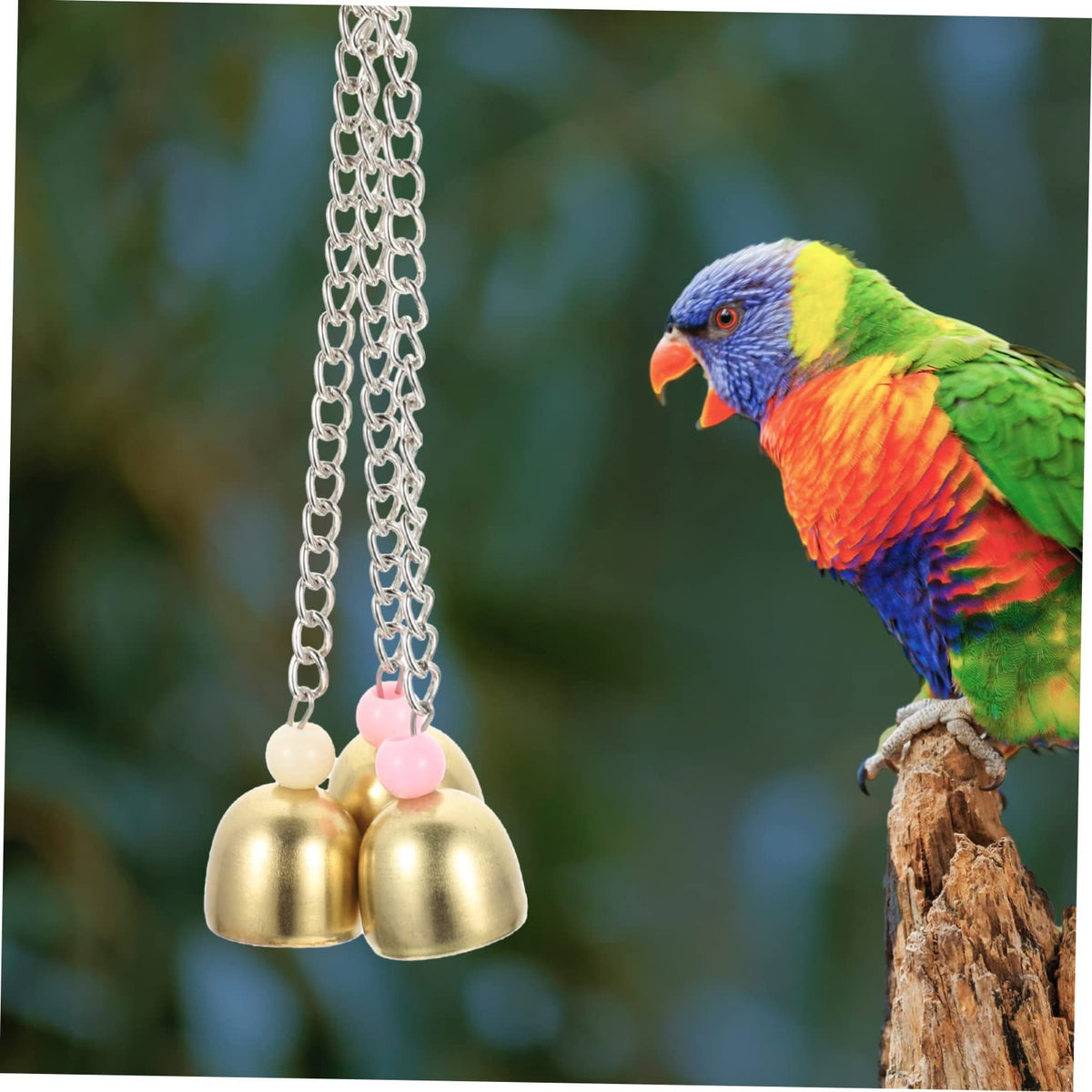 Hanging Bell Toys for Birds – 4 Pack