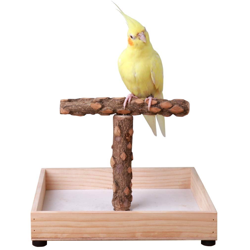 Portable Tabletop T-Stand for Parrots