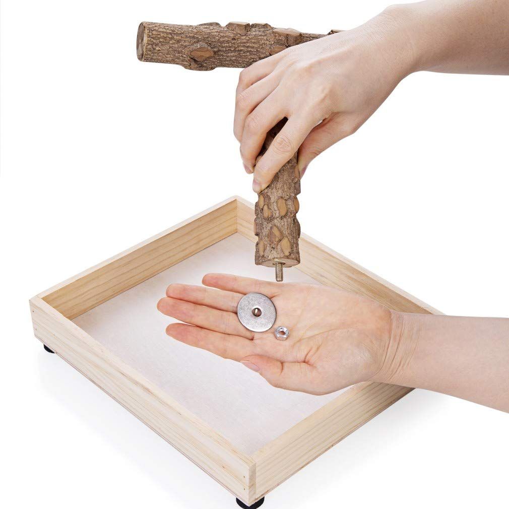 Portable Tabletop T-Stand for Parrots