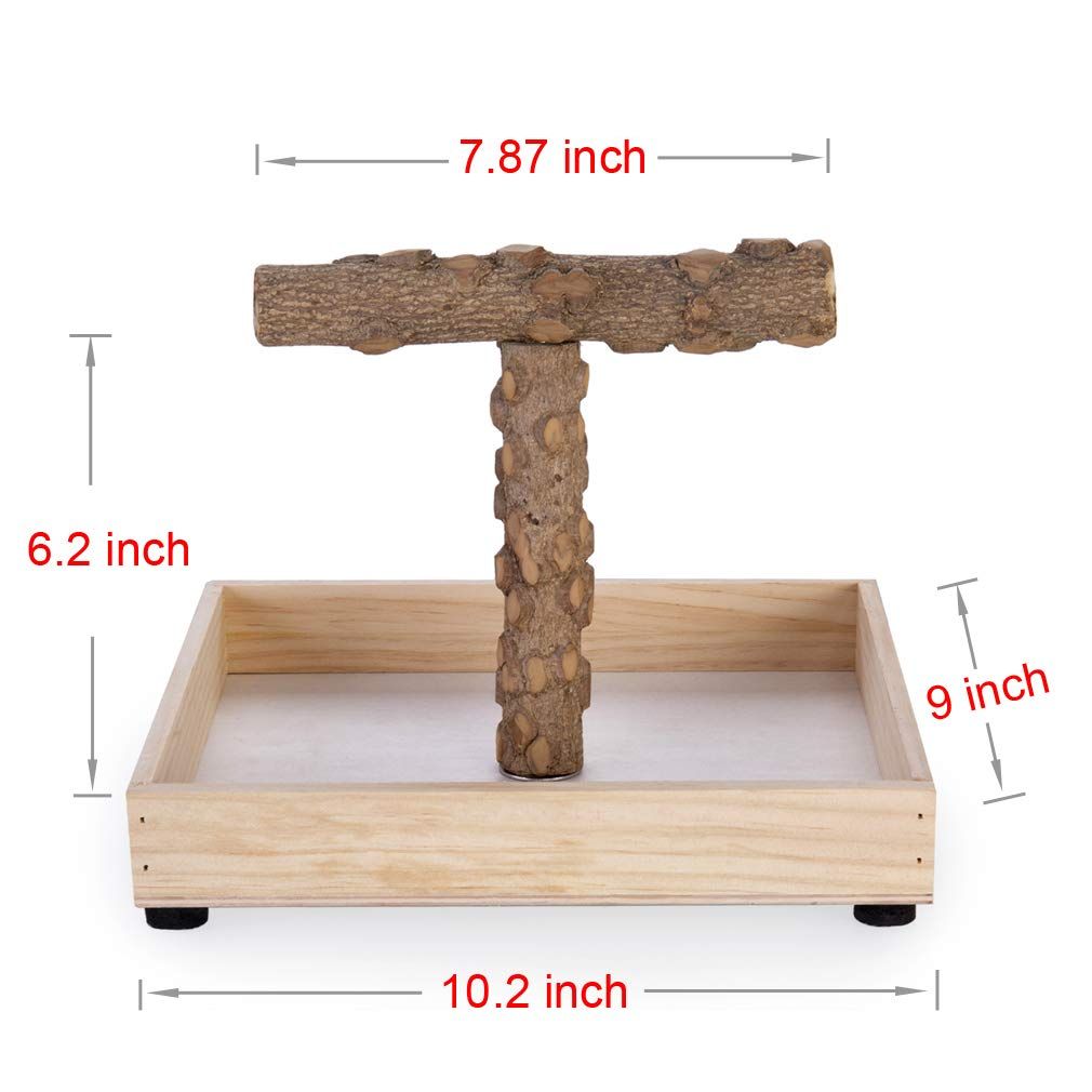 Portable Tabletop T-Stand for Parrots