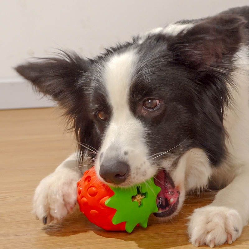 Strawberry-Shaped Dog Chew Toy